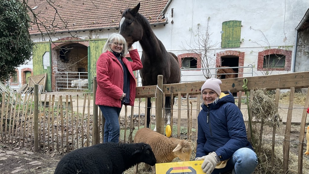 Abspielen