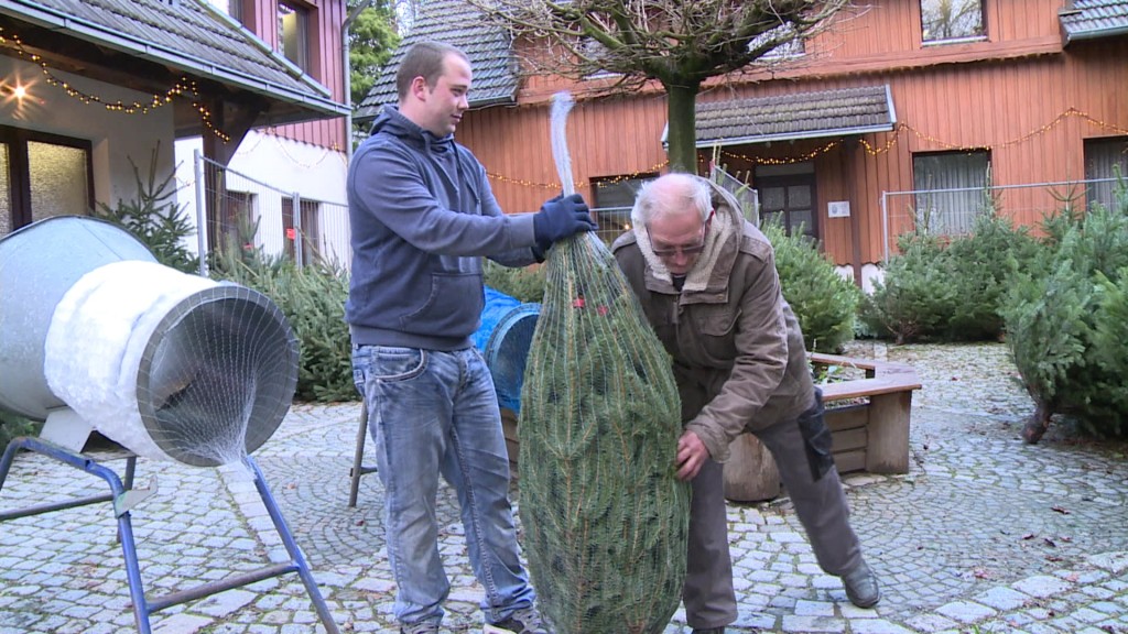 Weihnachtsbaumverkauf