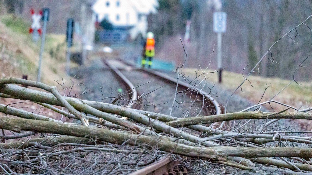 Foto: Ein umgestürzter Baum liegt auf Bahngleisen