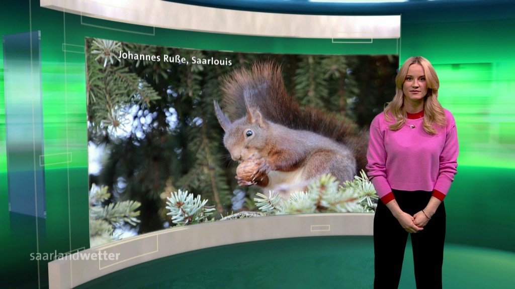 Foto: Fritzi Brandt im Studio