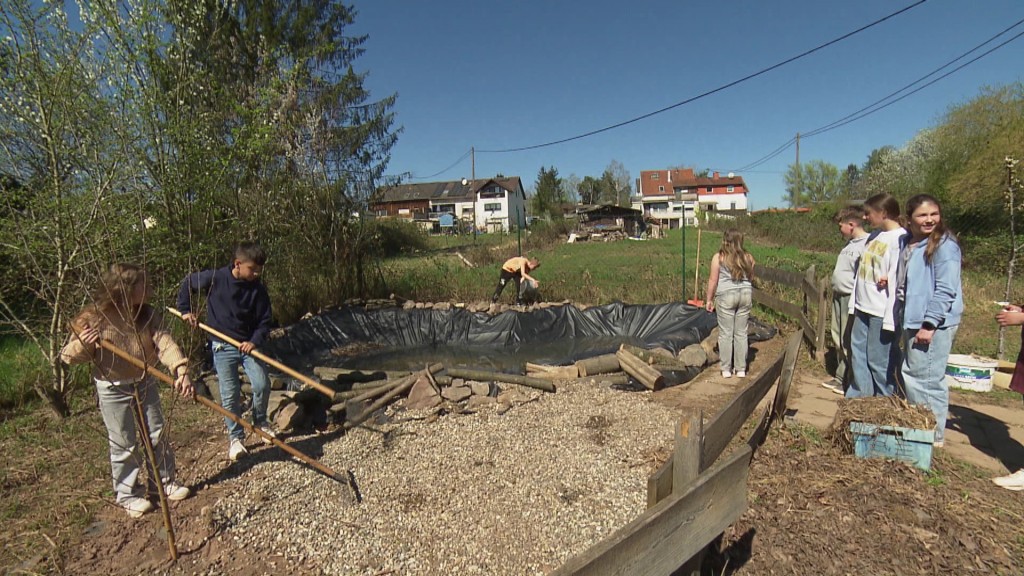 Foto: Schüler bei der Gartenarbeit in der Schule