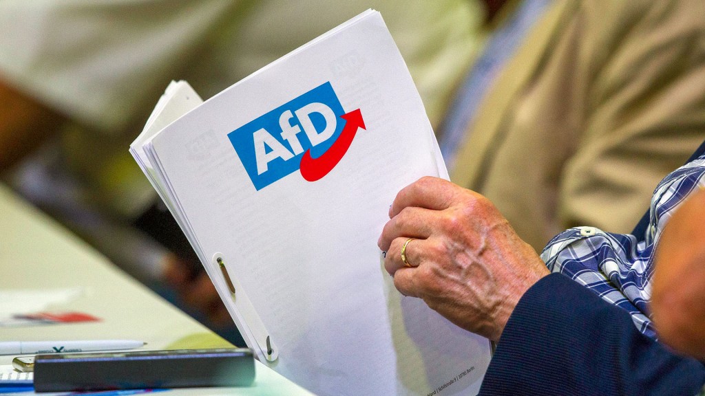 AfD-Logo auf einer Mappe