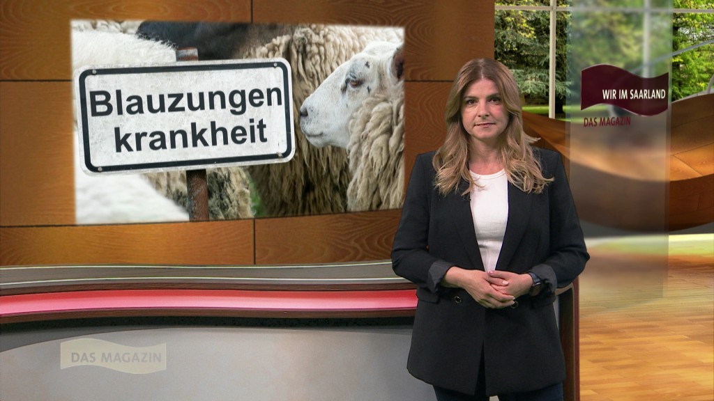 Foto: Verena Sierra im Studio