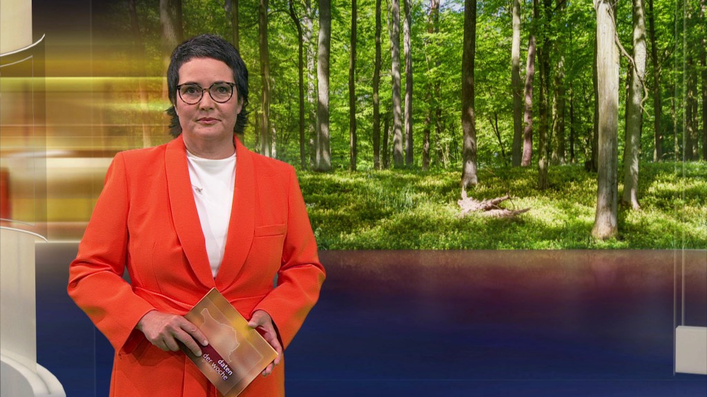 Foto: Sonja Marx im Studio