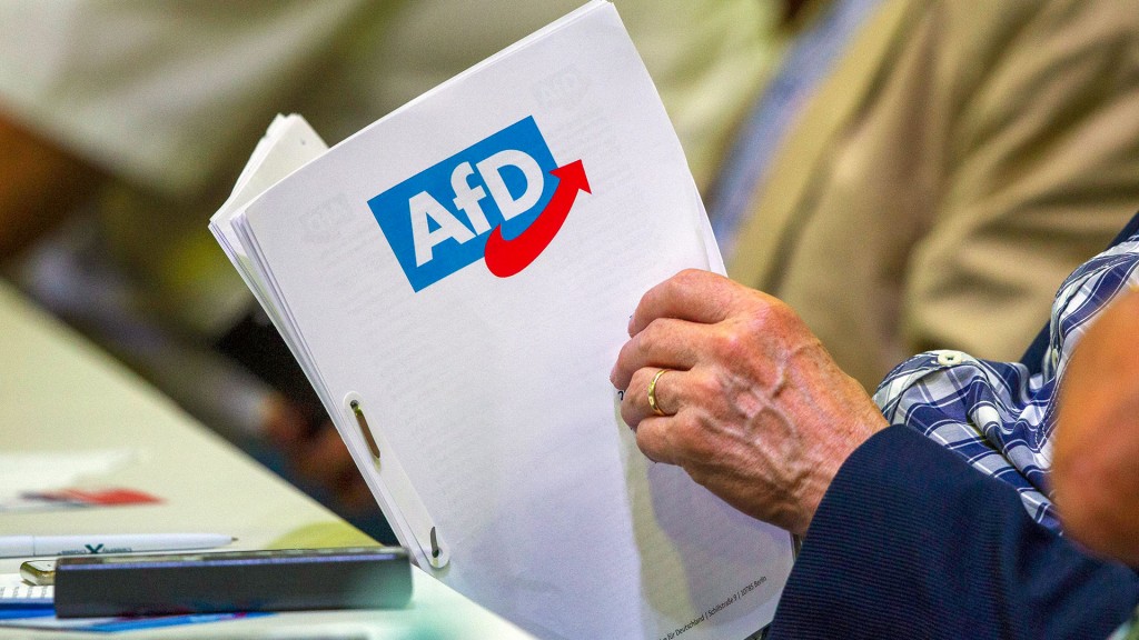 AfD-Logo auf einer Mappe