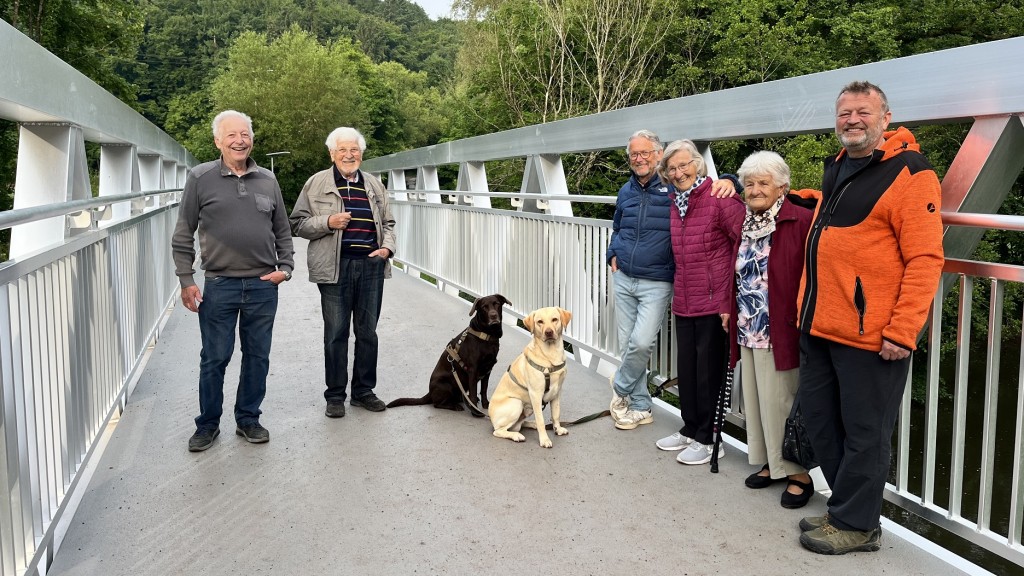 Bliesbrücke