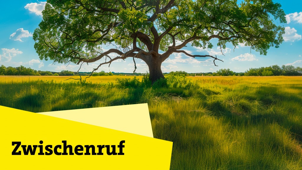 Zwischenruf