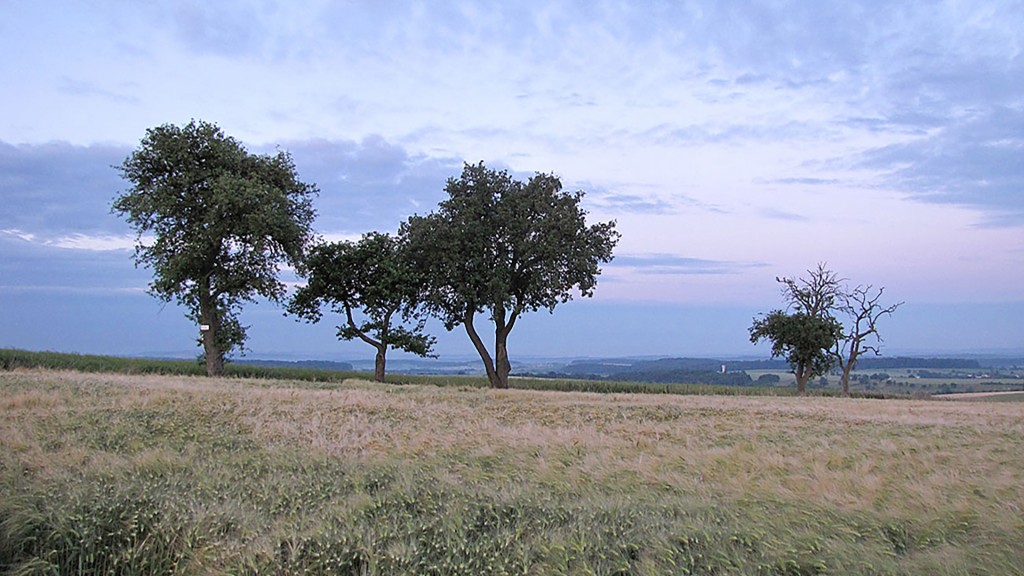 Landschaft auf dem Saargau, 