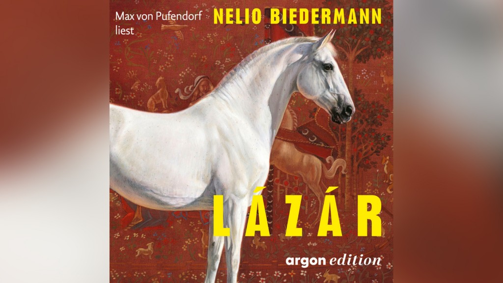 Hörbuch-Cover Nelio Biedermann 