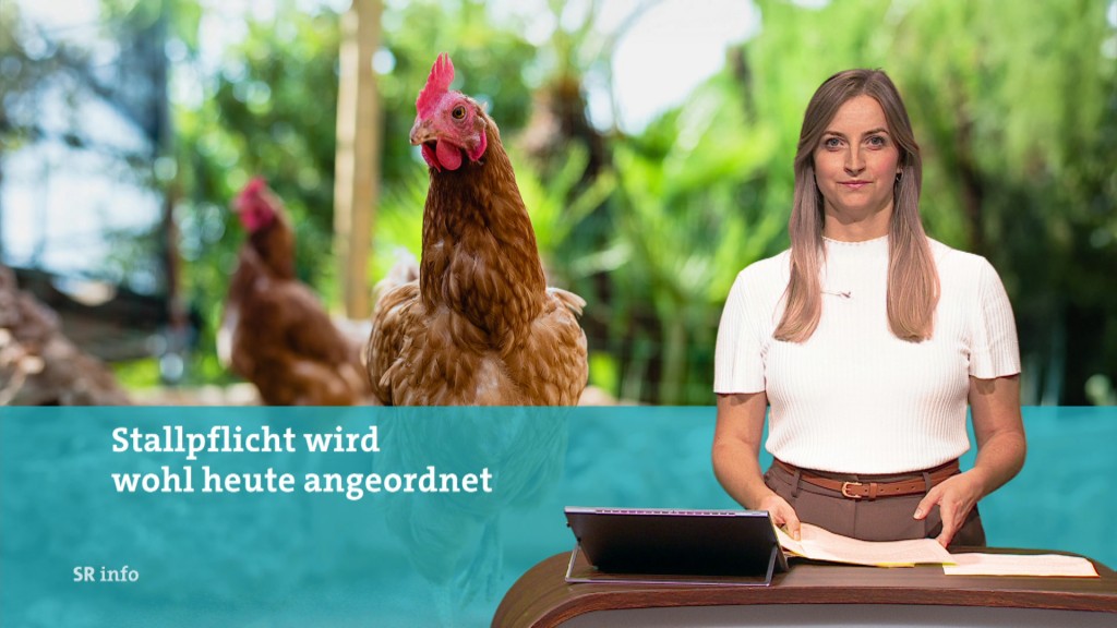 Foto: Eva Mieves im Studio