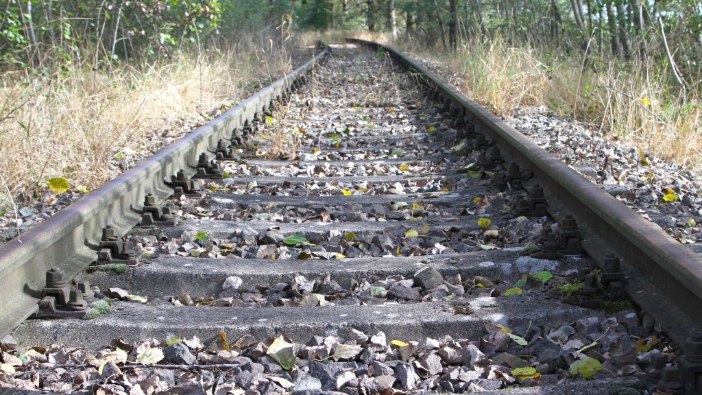 Foto: Gras und Unkraut wuchert an den Gleisen einer stillgelegten Bahnstrecke