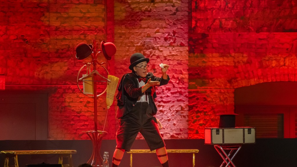 Foto: Monsieur Momo auf der Bühne