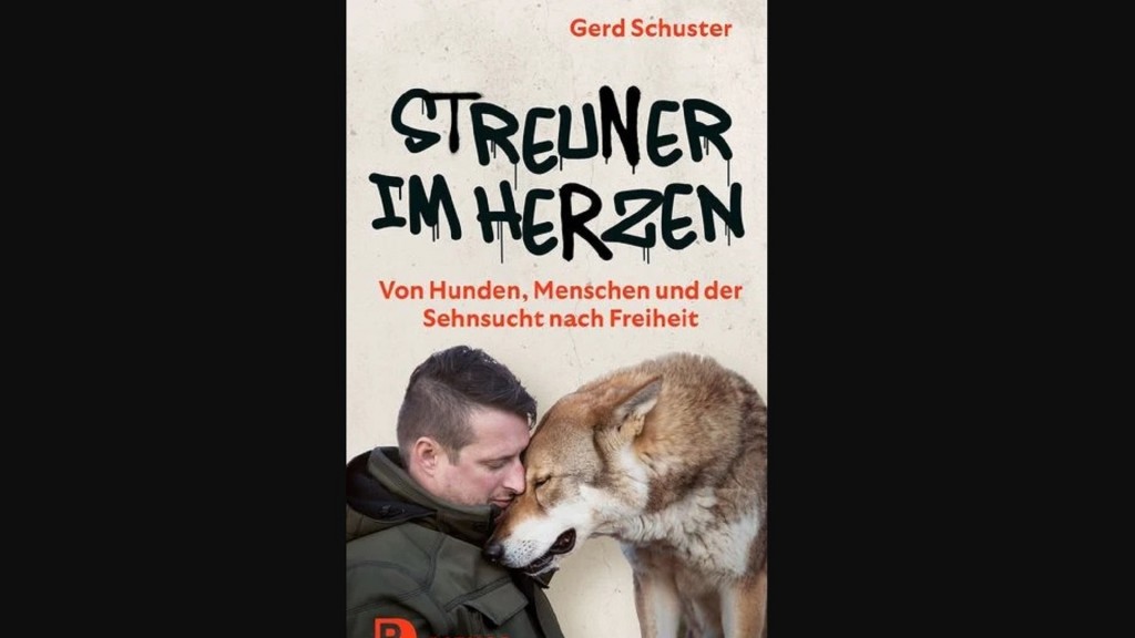 Cover Streuner im Herzen