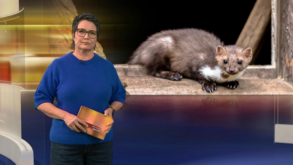 Foto: Sonja Marx im Studio