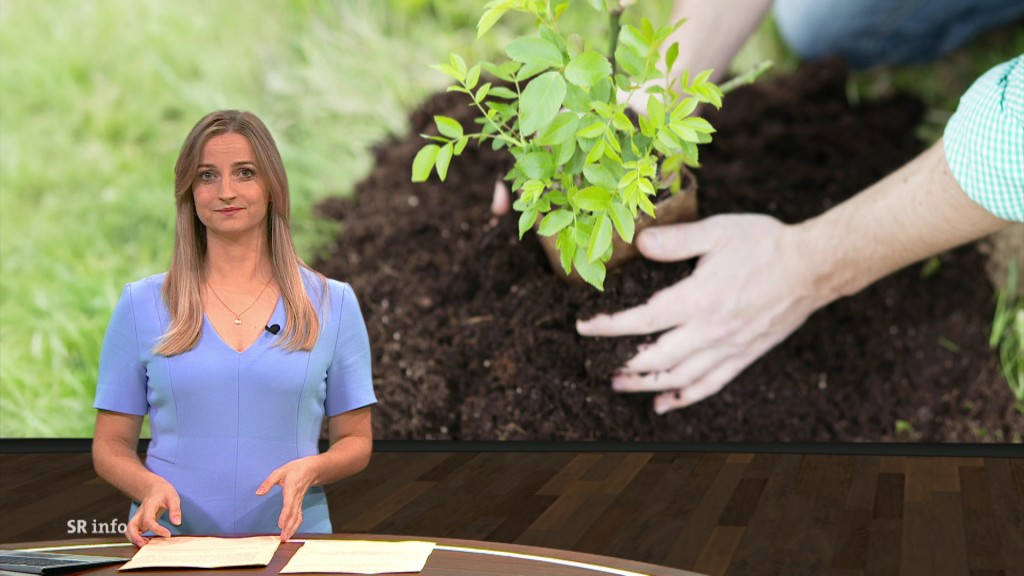 Foto: Eva Mieves im Studio