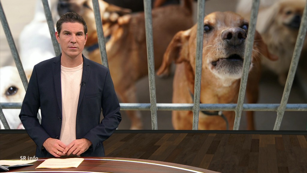 Foto: Florian Possinger