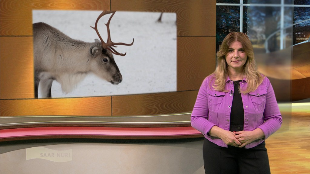 Foto: Verena Sierra im Studio