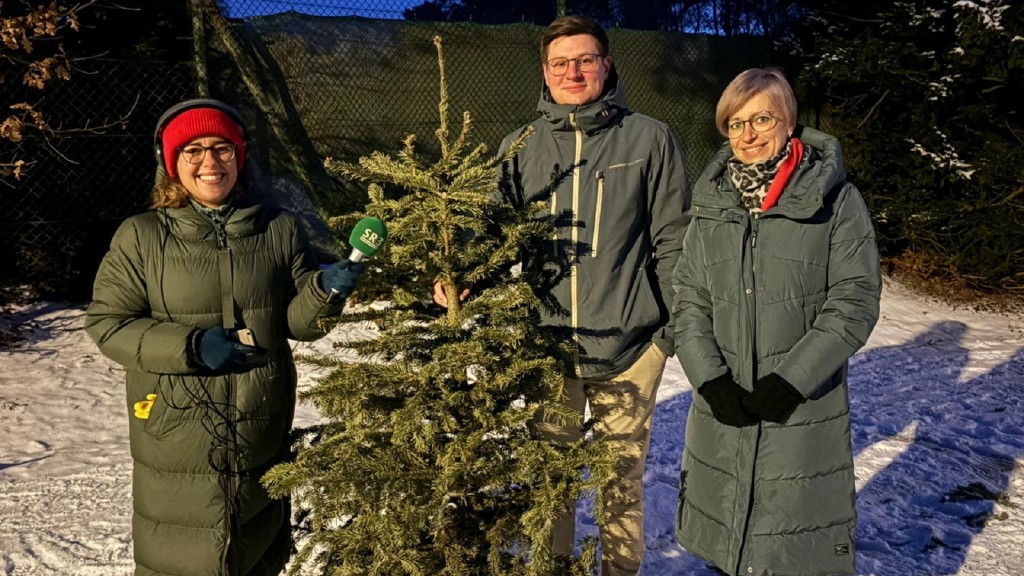 Tannenbaumweitwurf in Griesborn