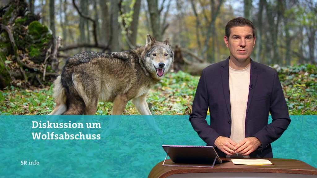 Florian Possinger im Studio