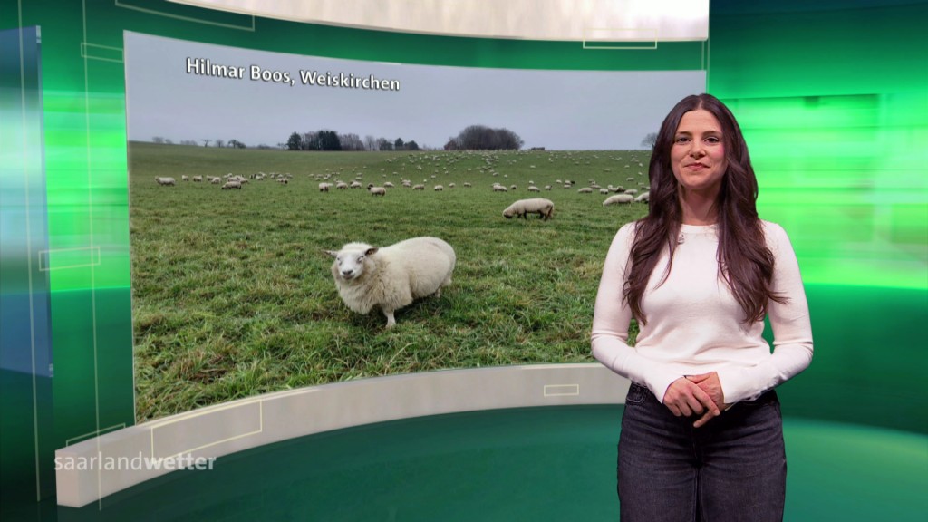 Foto: Jessie Ziegler im Studio