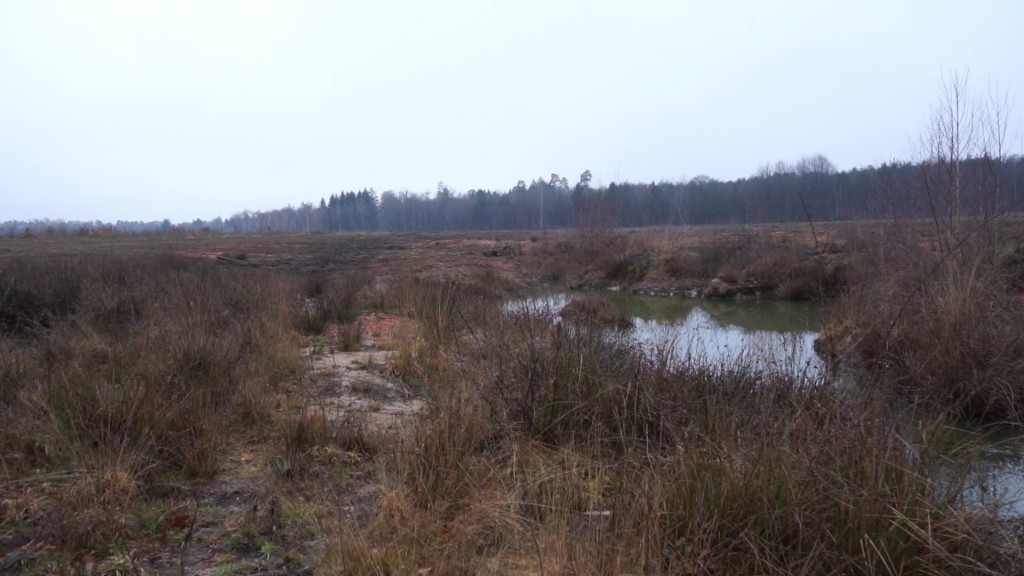 Foto: Areal am Zunderbaum