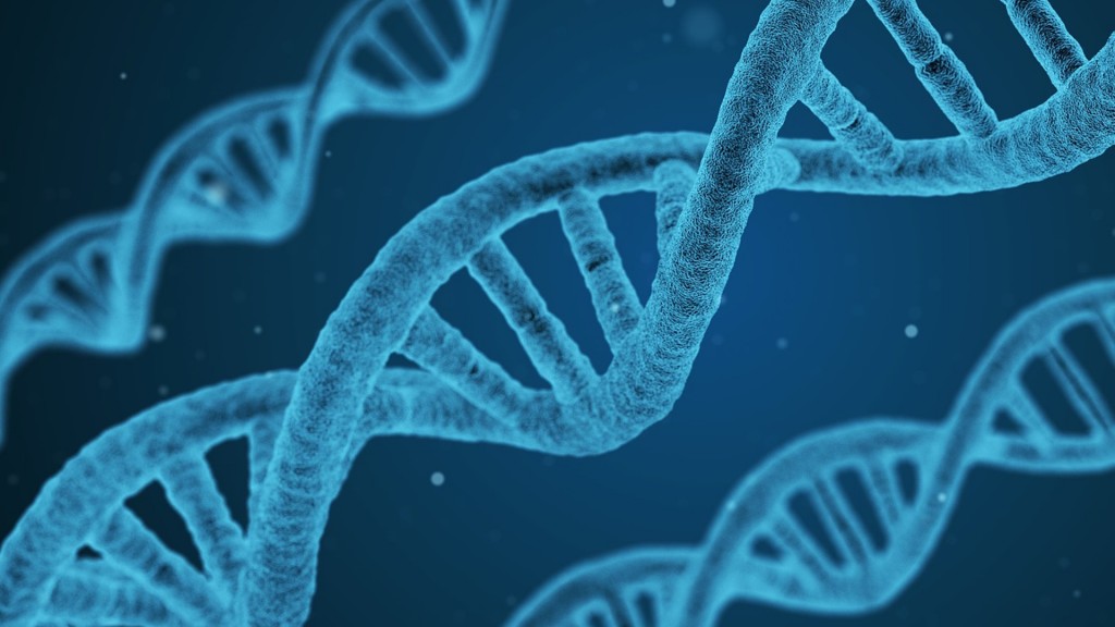 Stark vergrößerte DNA-Struktur