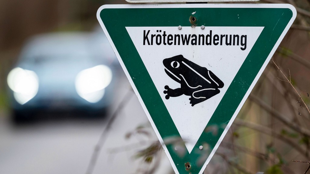 Ein Krötenwanderungsschild auf einer Straße