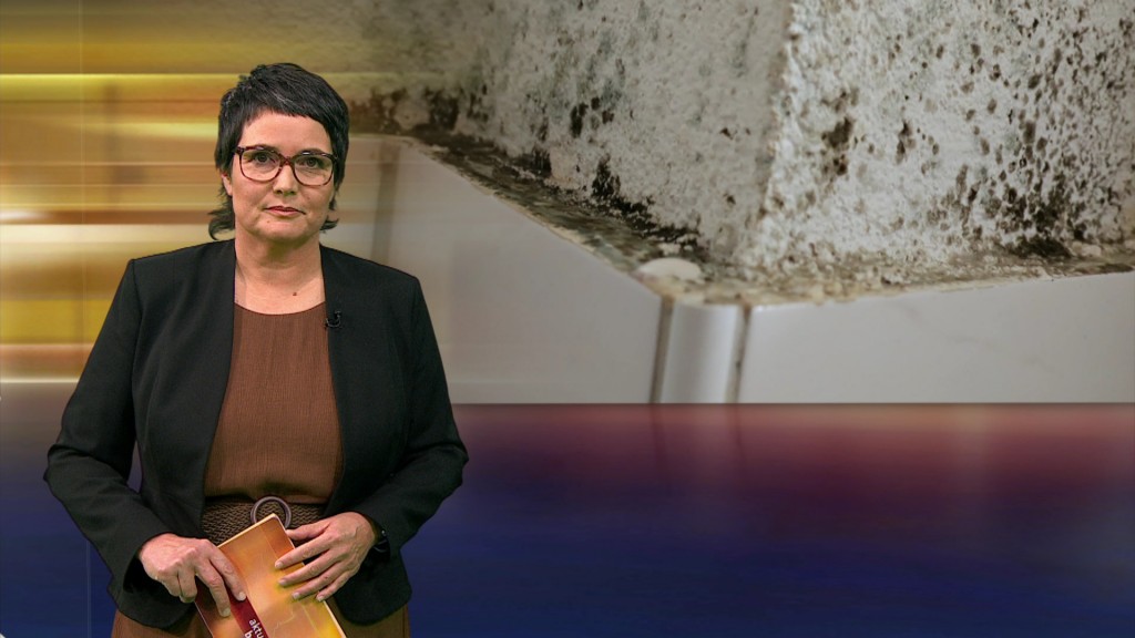 Foto: Sonja Marx im Studio