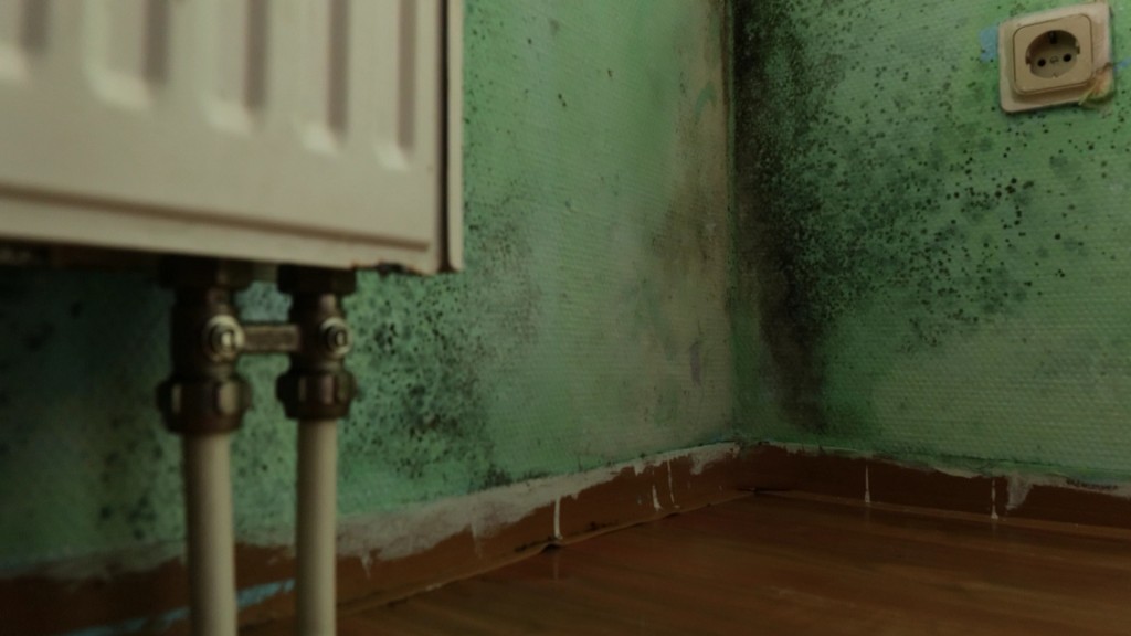 Foto: Schimmel an einer Wohnwand