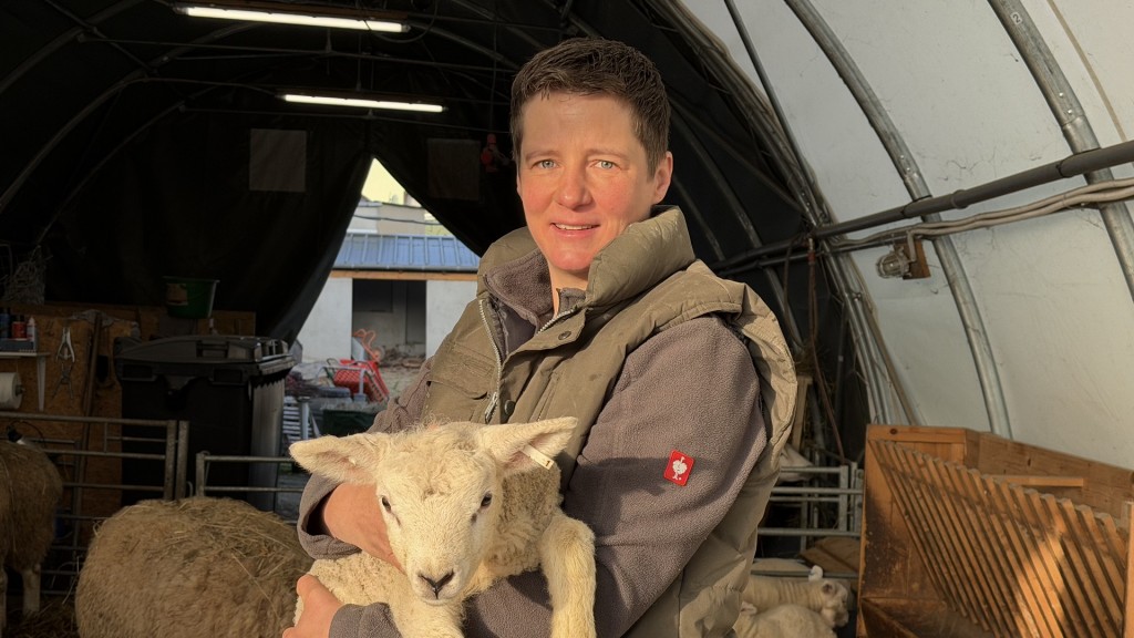 Ines Zahn vom Bauhof Heusweiler hält Schafe