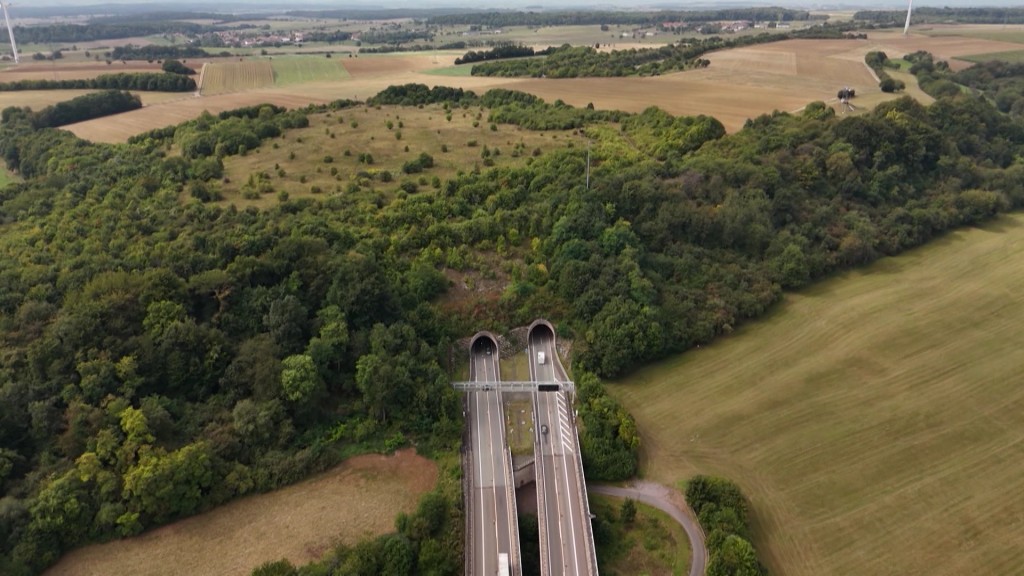 Foto: Blick auf die Wildbrücke am Pellinger Berg