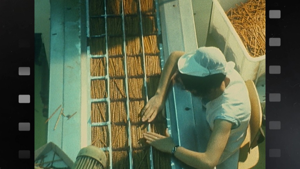 Foto: Eine Frau sortiert Stixi in einer Fabrik