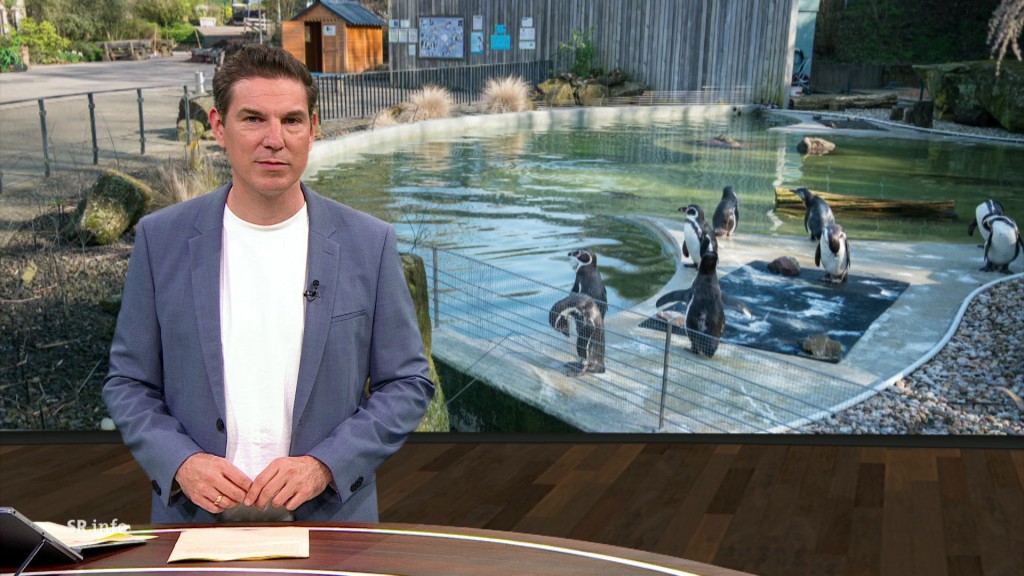 Foto: Florian Possinger im Studio