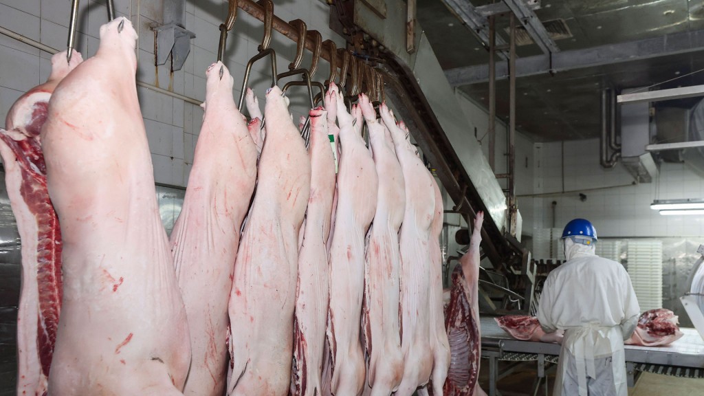 Arbeiter bei der Zerteilung geschlachteter Schweine