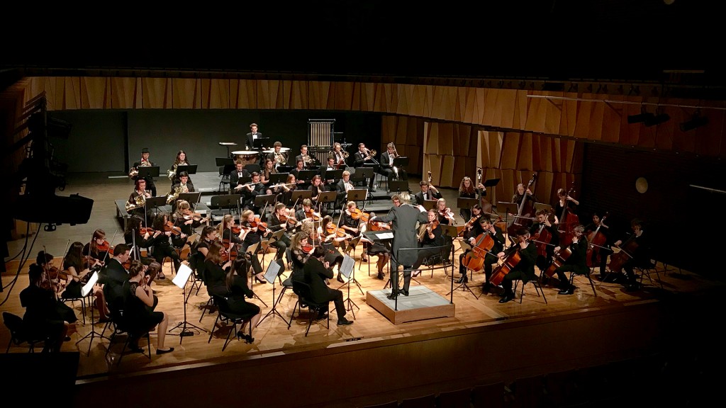 Landesjugend-Sinfonie-Orchester Saar