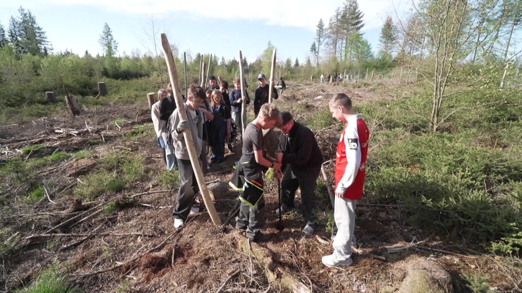 Foto: Jugendliche beim Projekt Miniwald in Nohfelden
