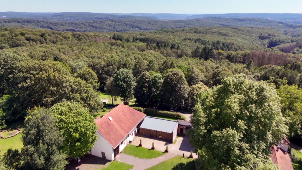 Der Wald um das Forsthaus Neuhaus bei Saarbrücken