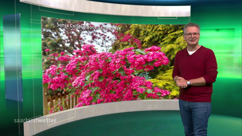 Foto: Michael Friemel im Studio