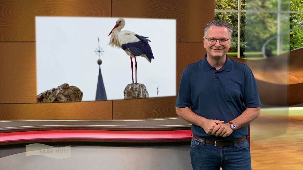 Foto: Michael Friemel im Studio