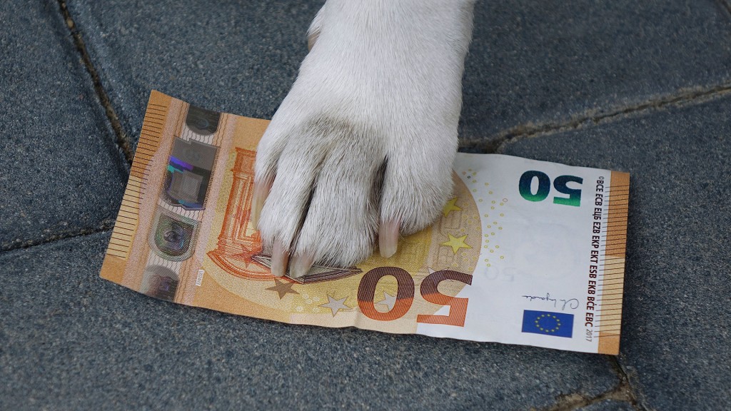 Foto: Hundepfote auf einem Geldschein    