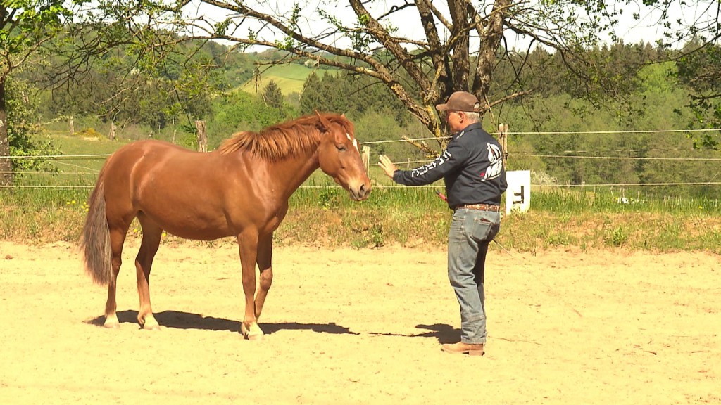 Foto: Markus Kneip und seine Cutie