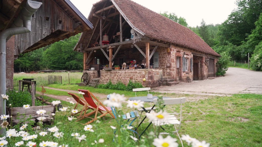 Foto: Paulusmühle