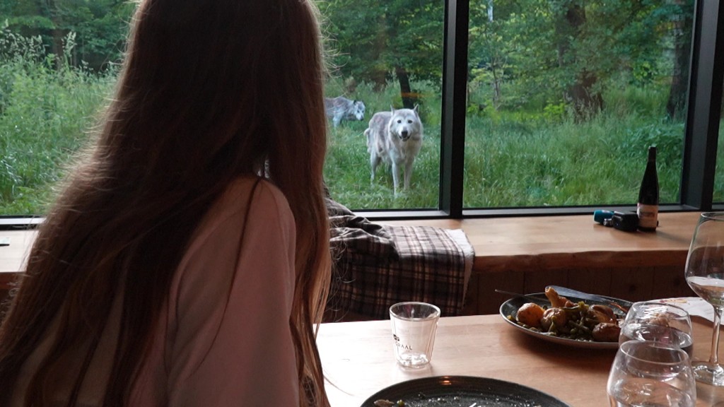 Foto: Parc Animalier de Sainte-Croix