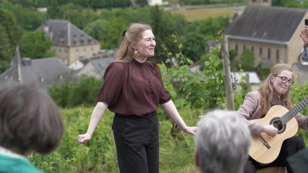 Foto: Konzert in einem Weinberg.