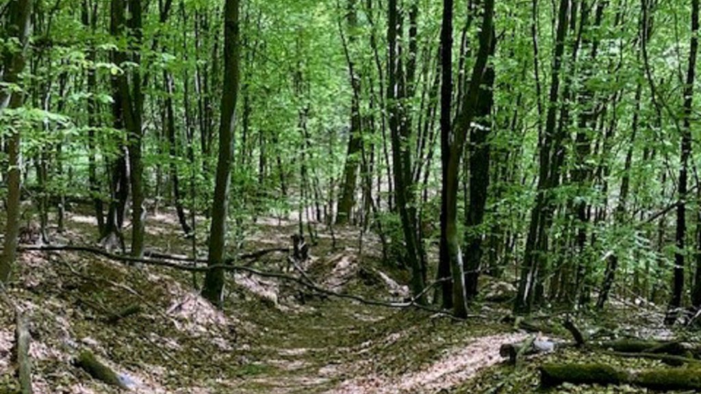 Rundweg Höcherberg