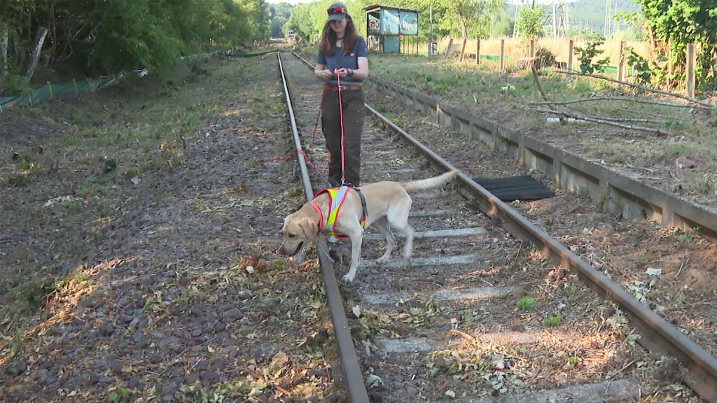 Einsatz eines Artenschutzhundes an der Bahnstrecke bei Homburg-Beeden
