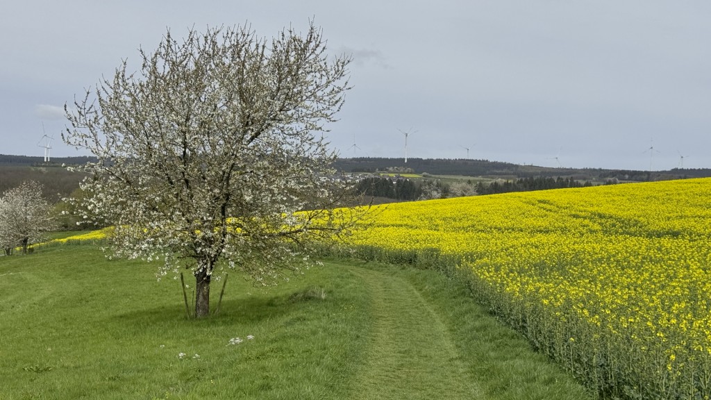 Wanderweg Hunolstein