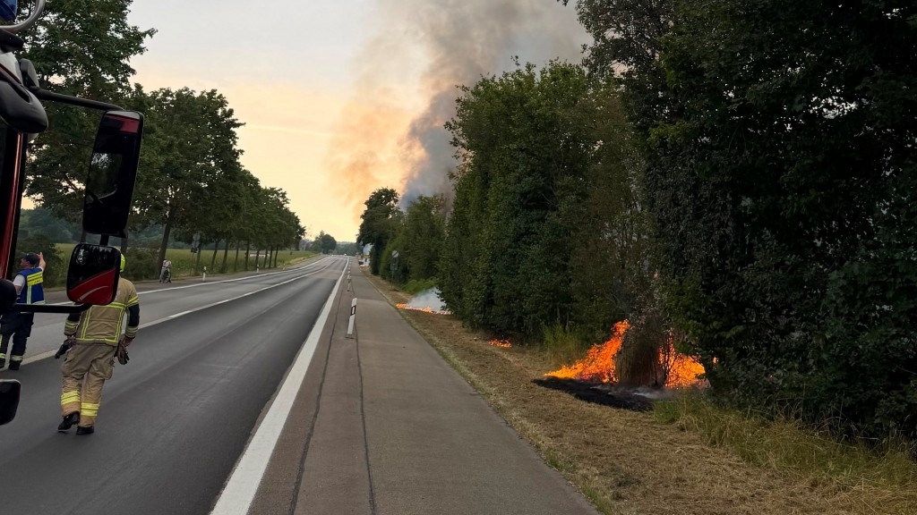 Die Feuerwehr Homburg ist am Donnerstag, 30.7.2026, zu einem Brand entlang der Bahntrasse zwischen Homburg und Limbach.