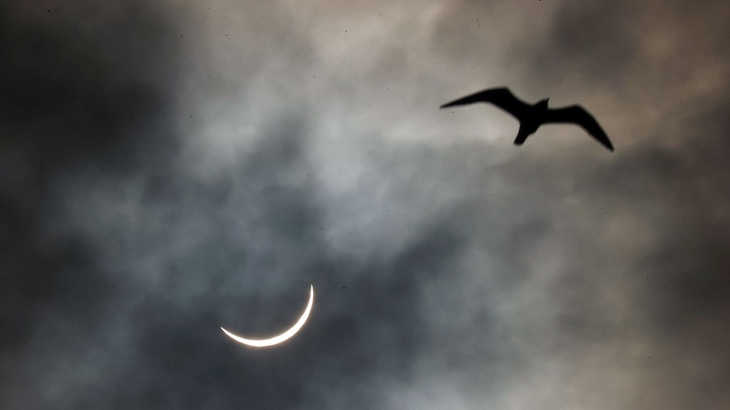 Während einer teilweisen Sonnenfinsternis bleibt nur noch eine dünne Sichel zu sehen