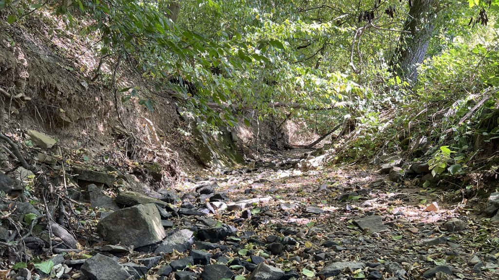 Kein Wasser im Steinbach in Thalexweiler